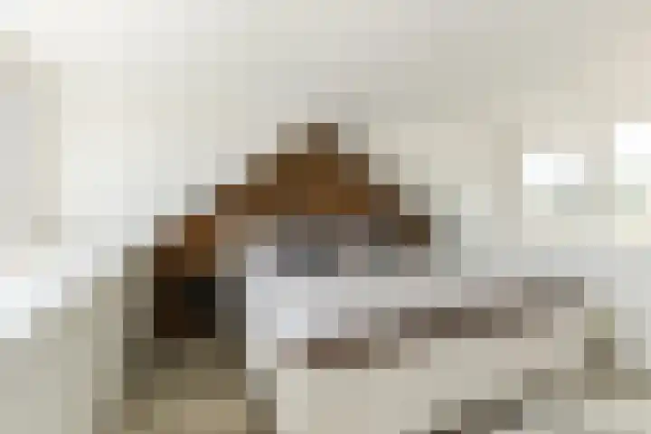 Lisztstraat 34 Halsteren thumbnail 41