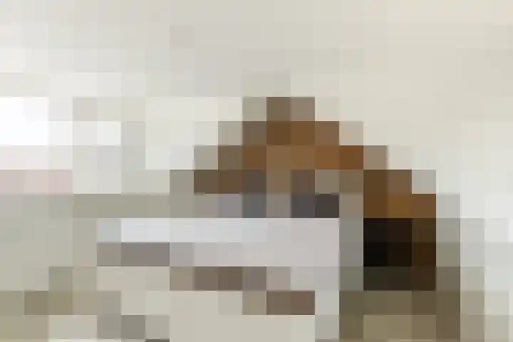 Lisztstraat 34 Halsteren thumbnail 42