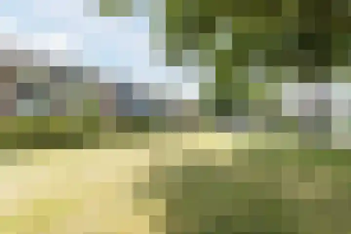 Lisztstraat 34 Halsteren thumbnail 56
