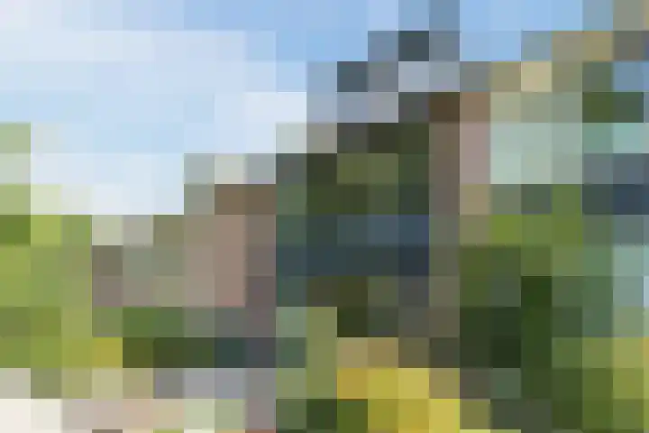Lisztstraat 34 Halsteren thumbnail 9