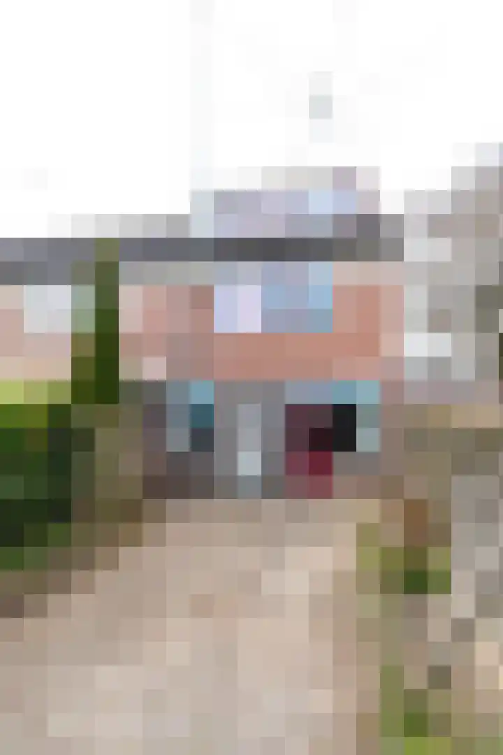 Lisztstraat 42 Nijverdal thumbnail 23