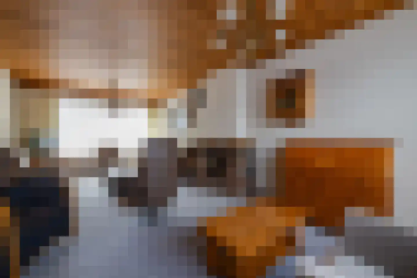Lisztstraat 6 Geleen thumbnail 14