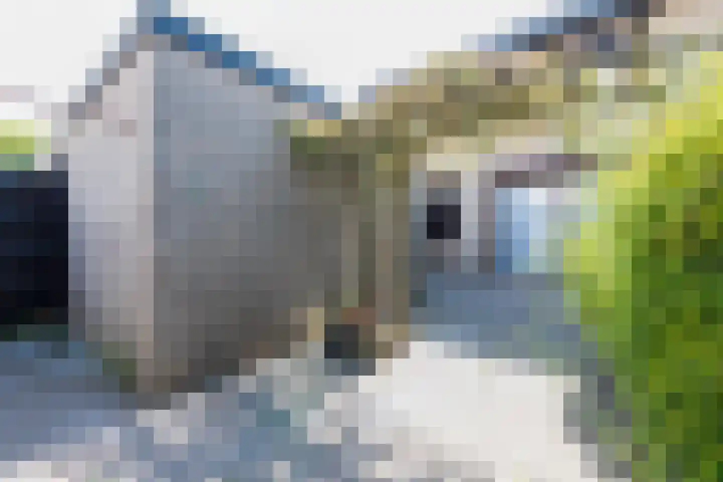 Lisztstraat 6 Geleen thumbnail 29