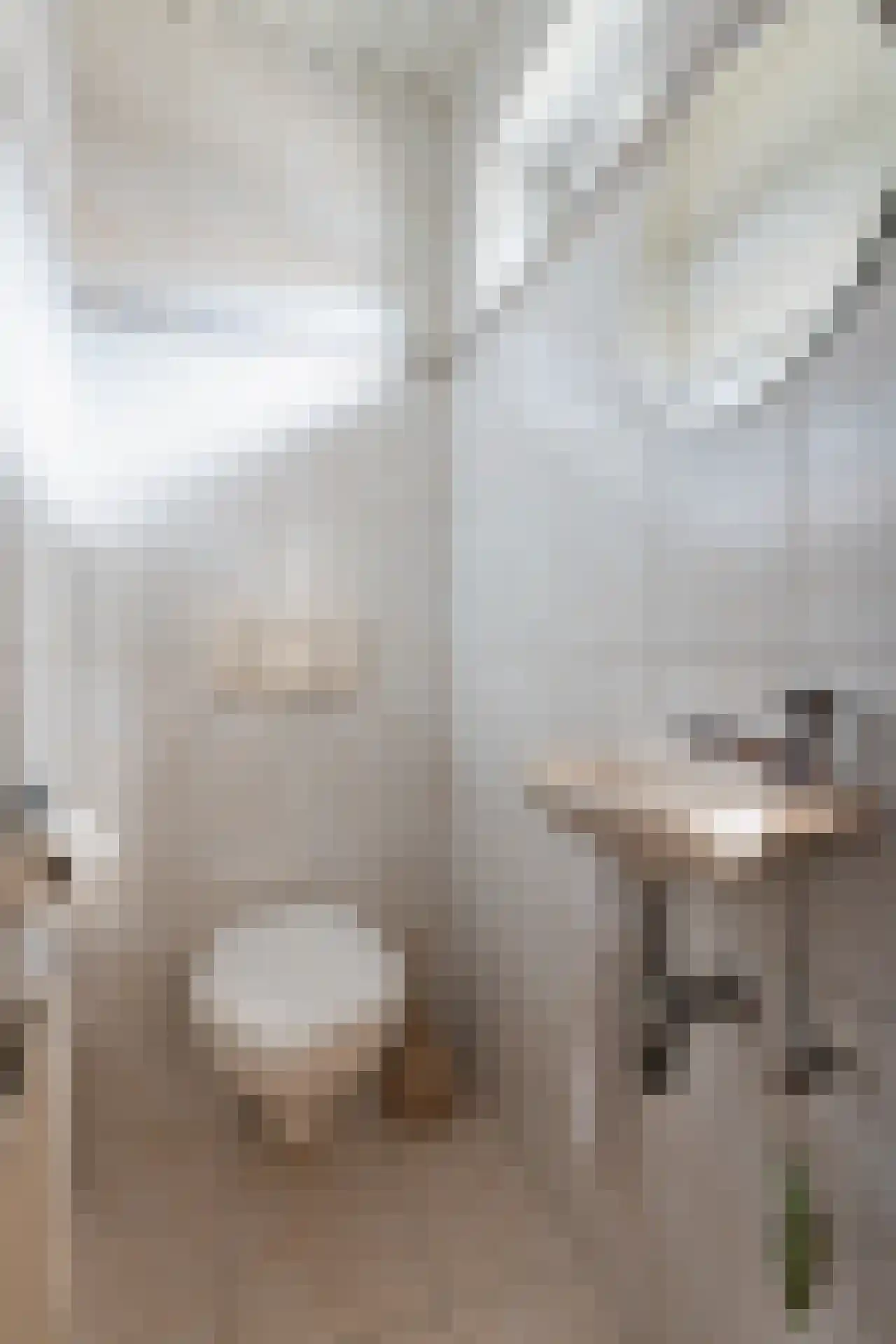 Lisztstraat 6 Geleen thumbnail 9