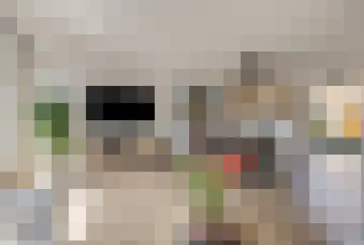 Litas 12 Etten-Leur thumbnail 11