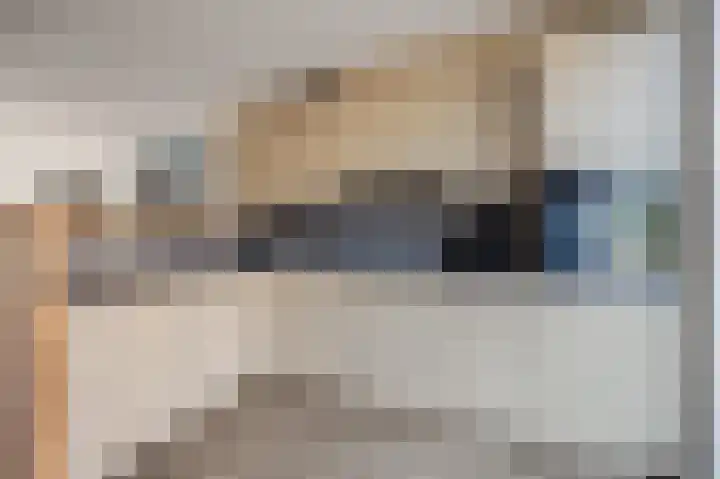 Litas 12 Etten-Leur thumbnail 16