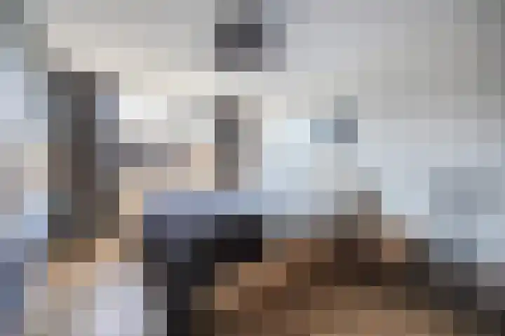 Litas 12 Etten-Leur thumbnail 19