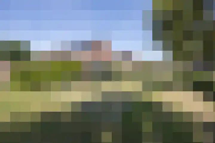 Litas 12 Etten-Leur thumbnail 37