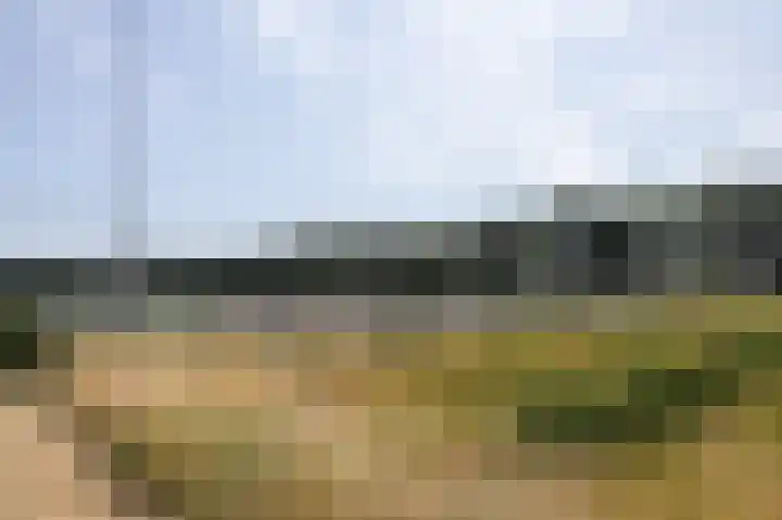 Litas 12 Etten-Leur thumbnail 38