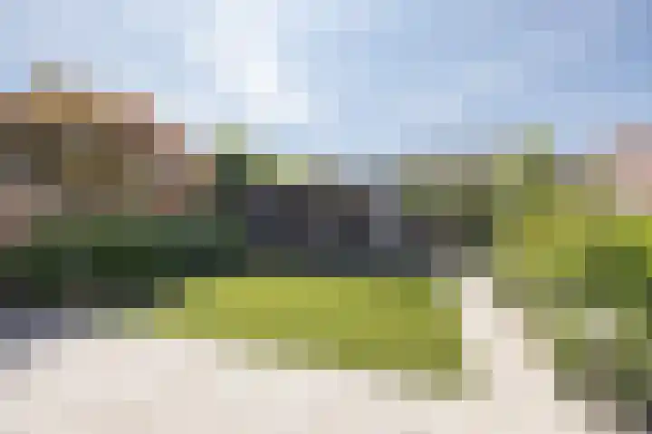 Litas 12 Etten-Leur thumbnail 4