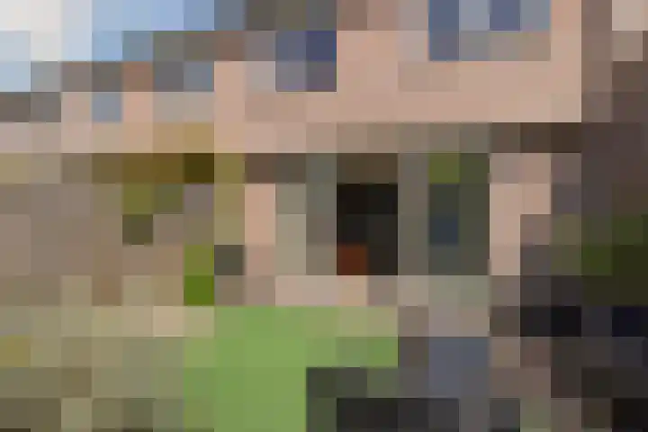 Litasweg 20 Amsterdam thumbnail 20