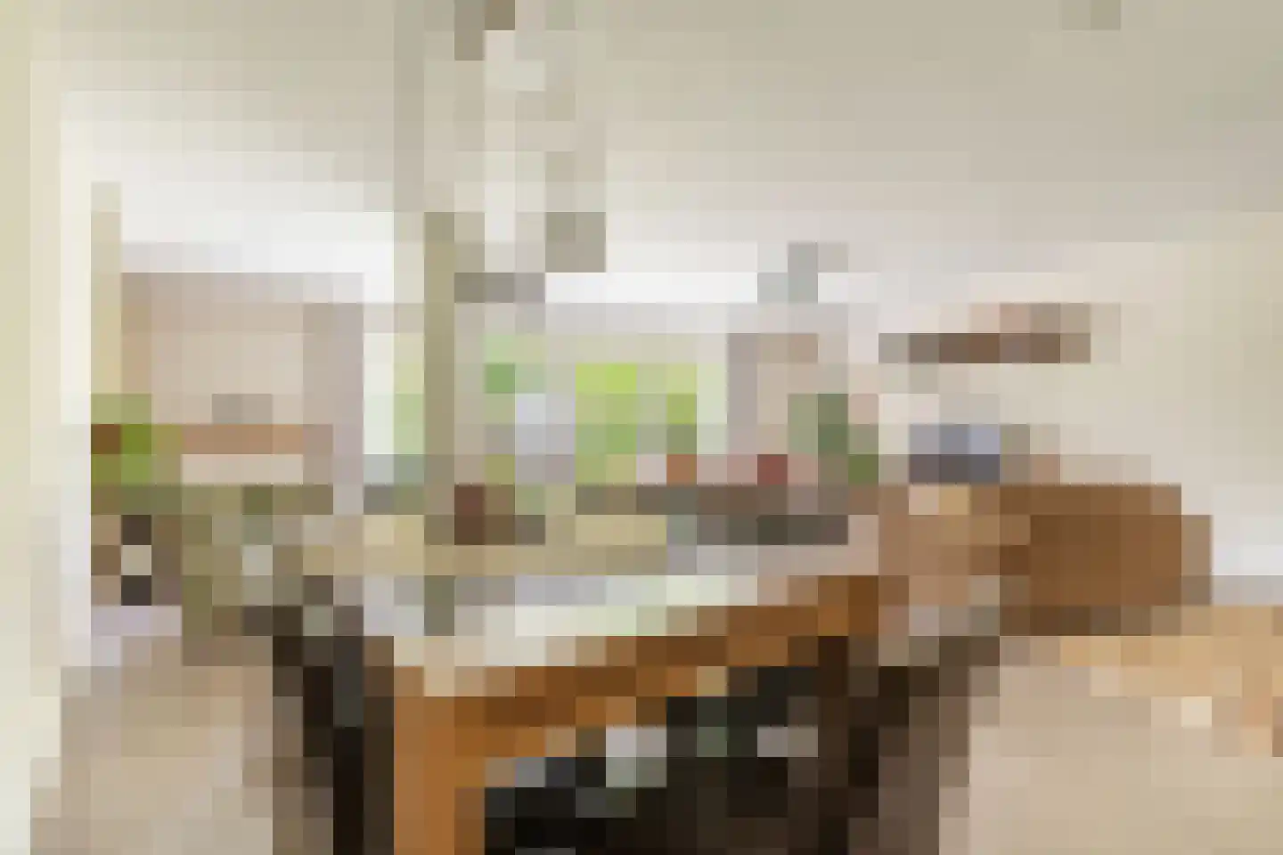 Litasweg 22 Amsterdam thumbnail 10