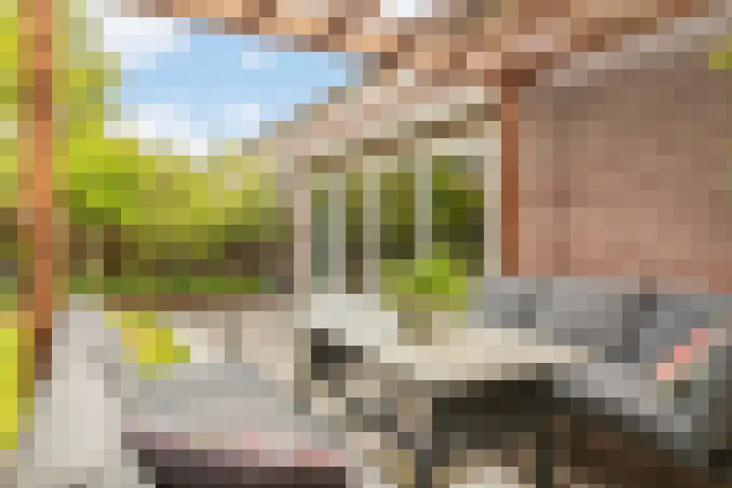 Litasweg 22 Amsterdam thumbnail 18