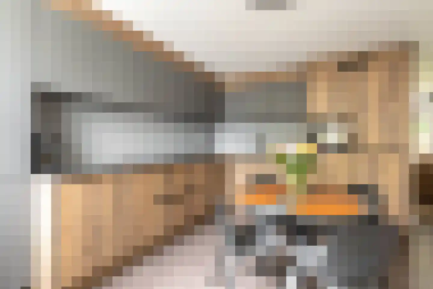Litasweg 22 Amsterdam thumbnail 25