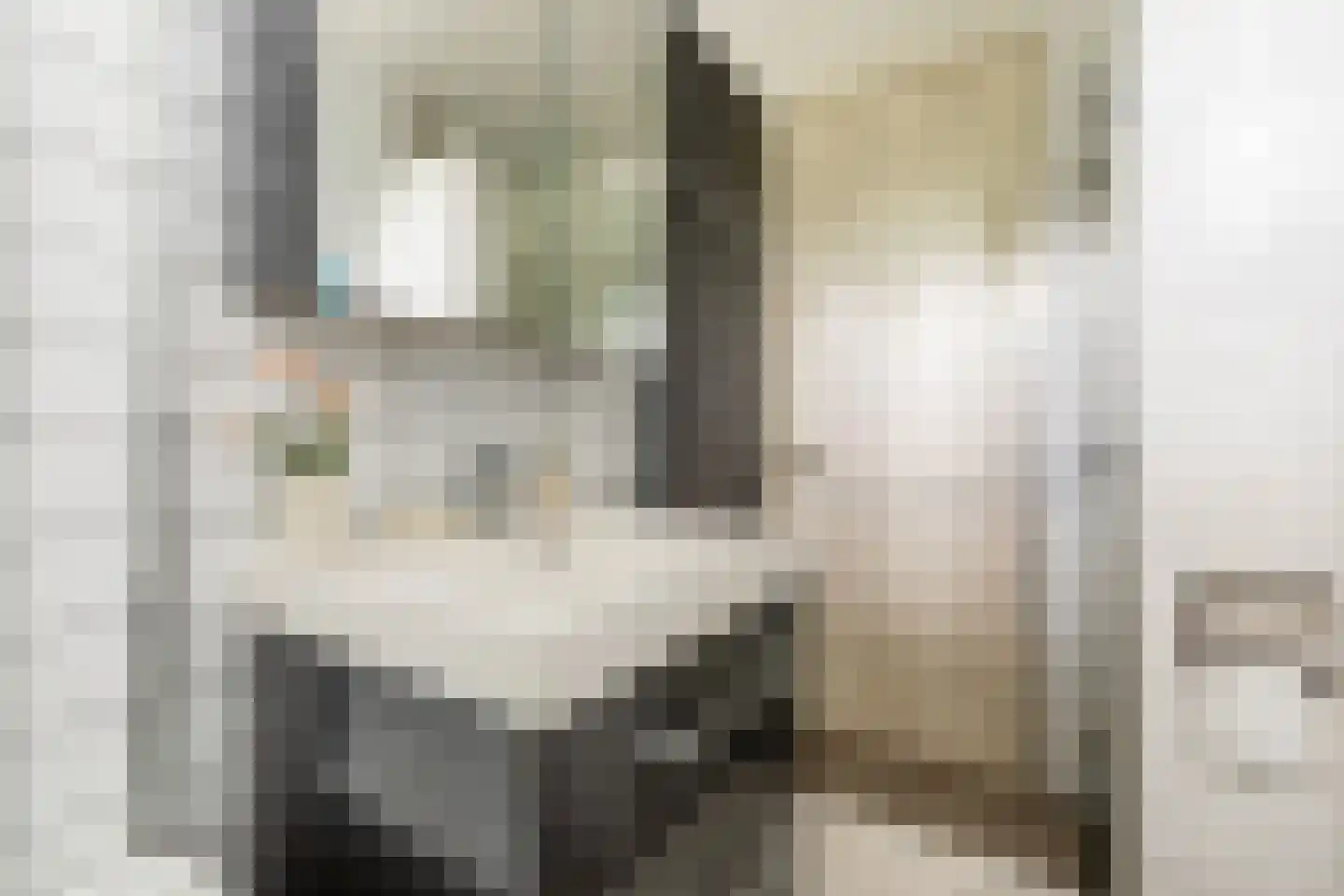 Litasweg 22 Amsterdam thumbnail 37