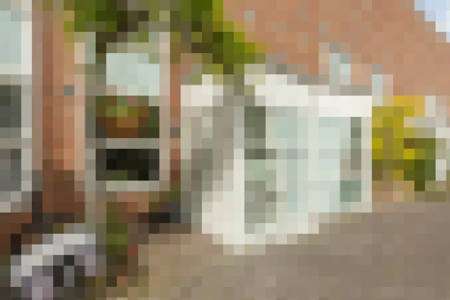 Litasweg 22 Amsterdam thumbnail 50
