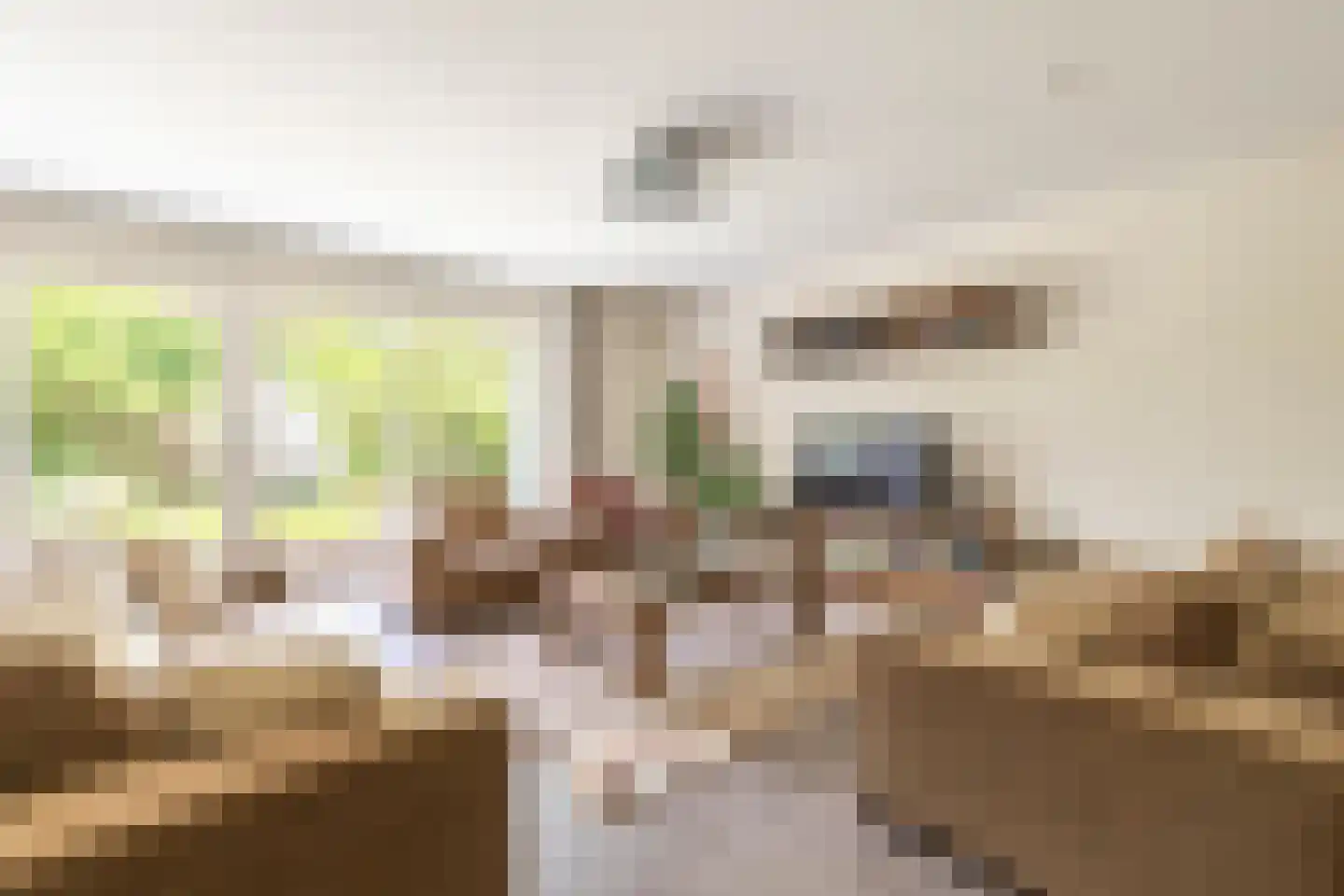 Litasweg 22 Amsterdam thumbnail 6
