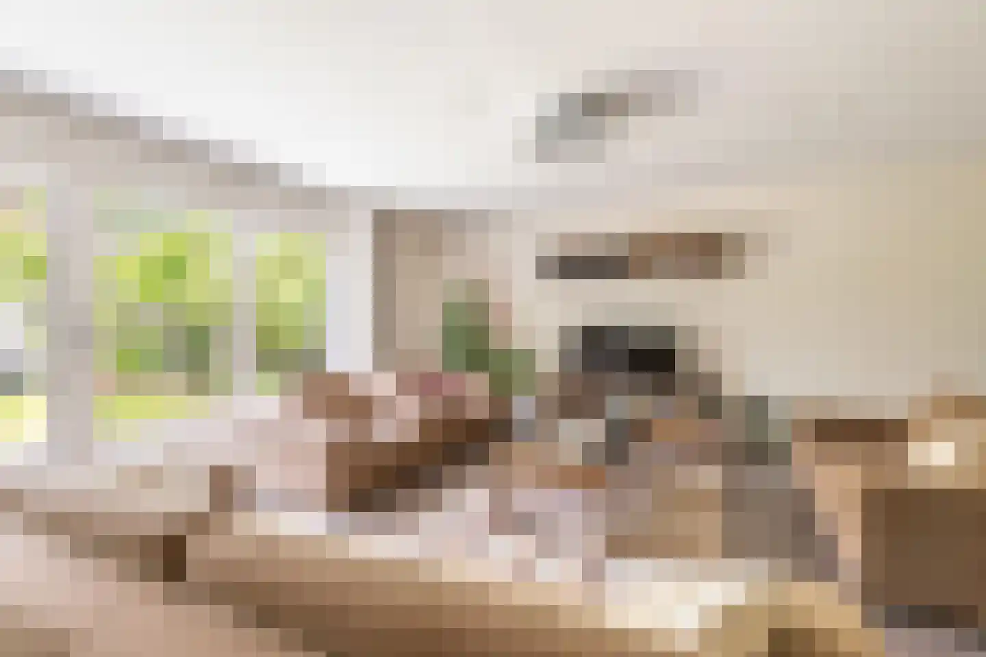 Litasweg 22 Amsterdam thumbnail 7