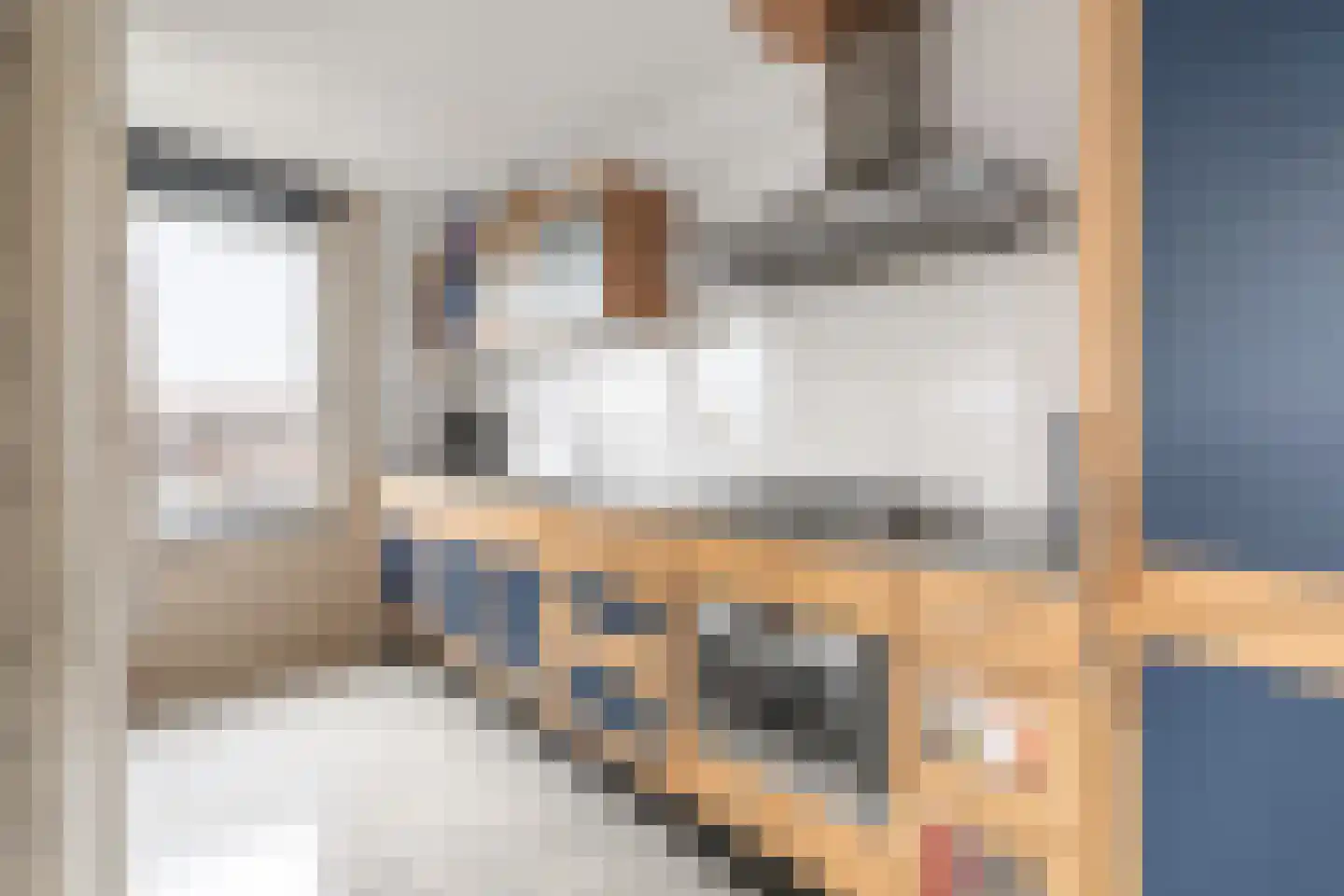 Litasweg 33 Amsterdam thumbnail 10