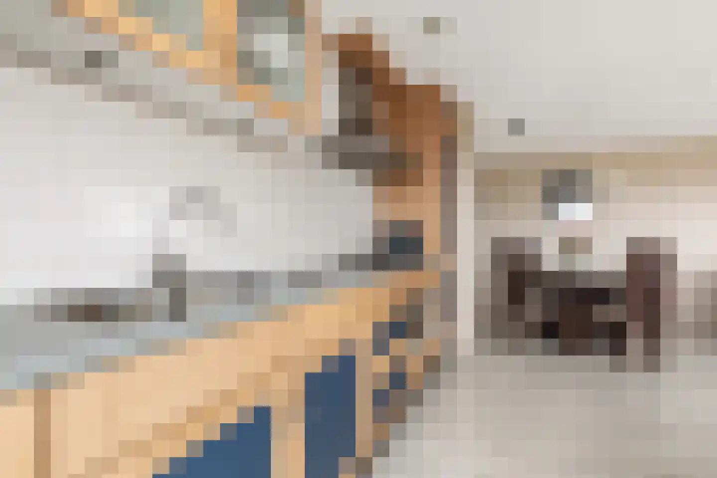 Litasweg 33 Amsterdam thumbnail 12