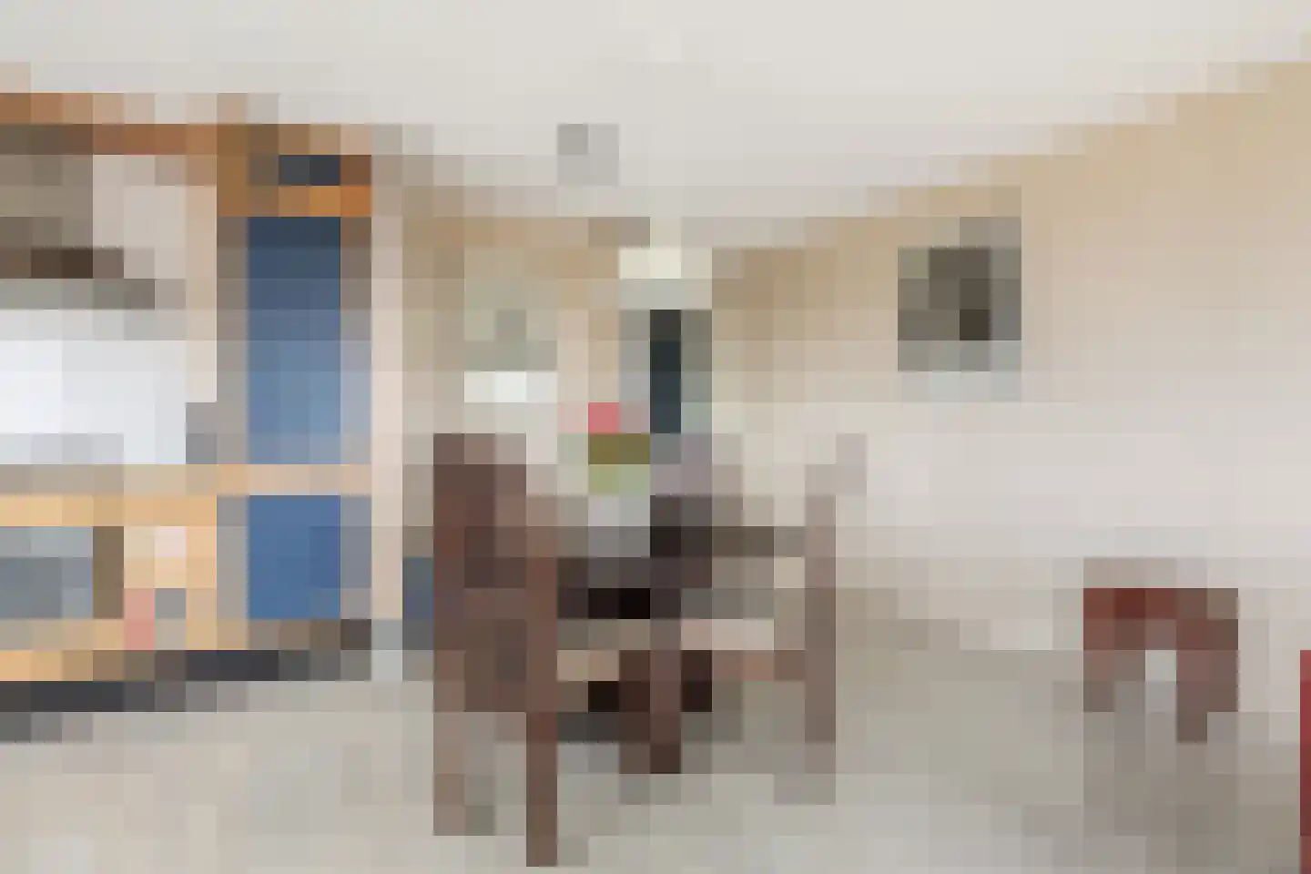 Litasweg 33 Amsterdam thumbnail 13