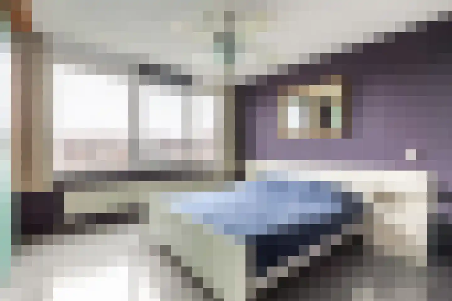 Litasweg 33 Amsterdam thumbnail 21