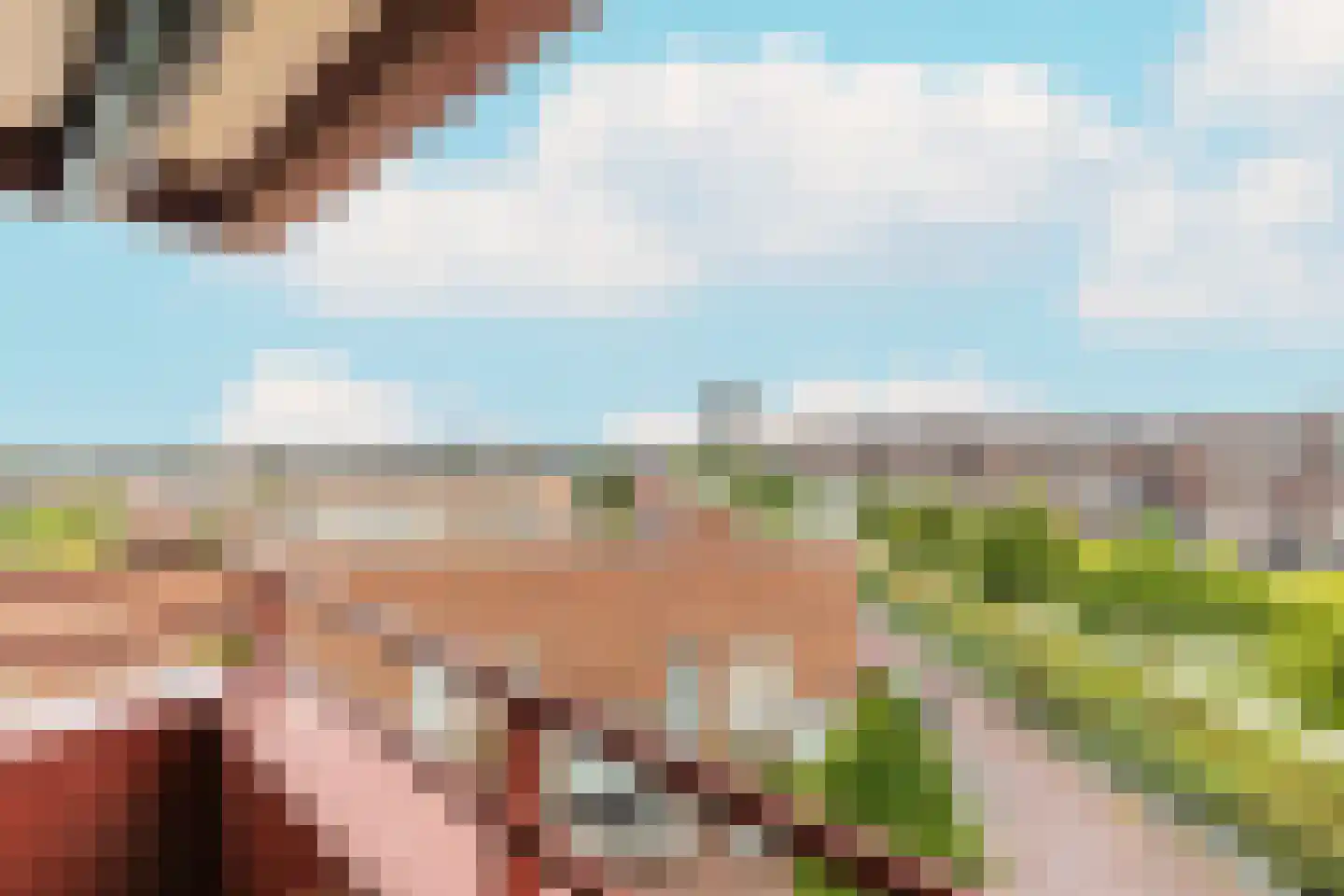 Litasweg 33 Amsterdam thumbnail 34