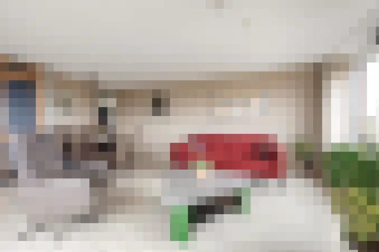 Litasweg 33 Amsterdam thumbnail 6