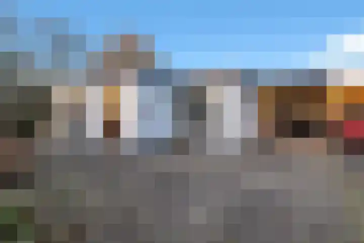 Lithergraaf 8 in Lith