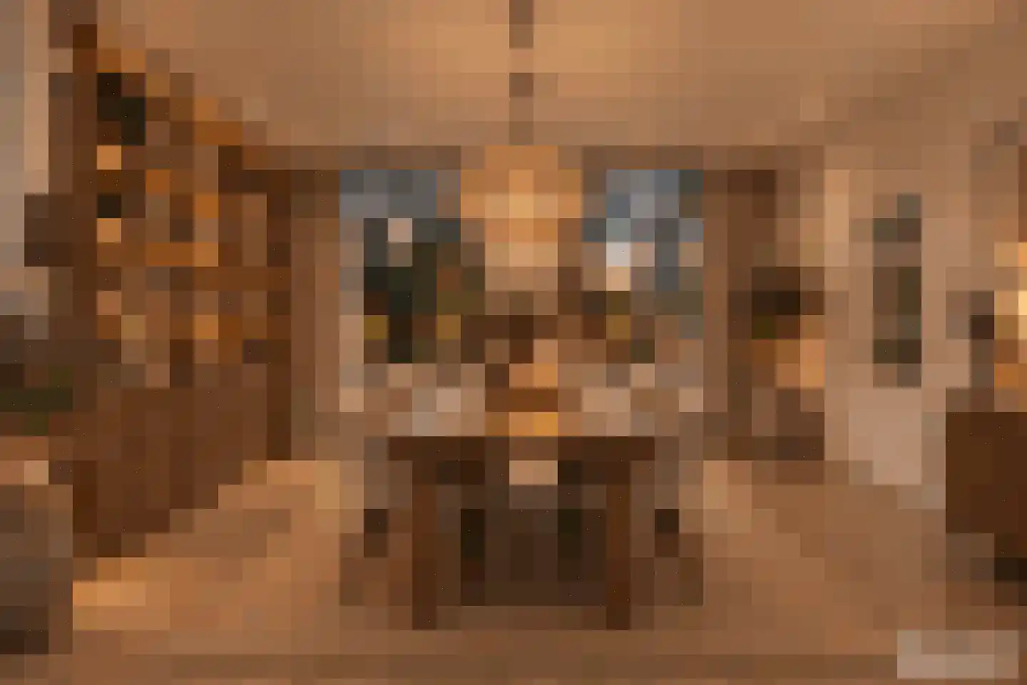 Lithergraaf 8 Lith thumbnail 26