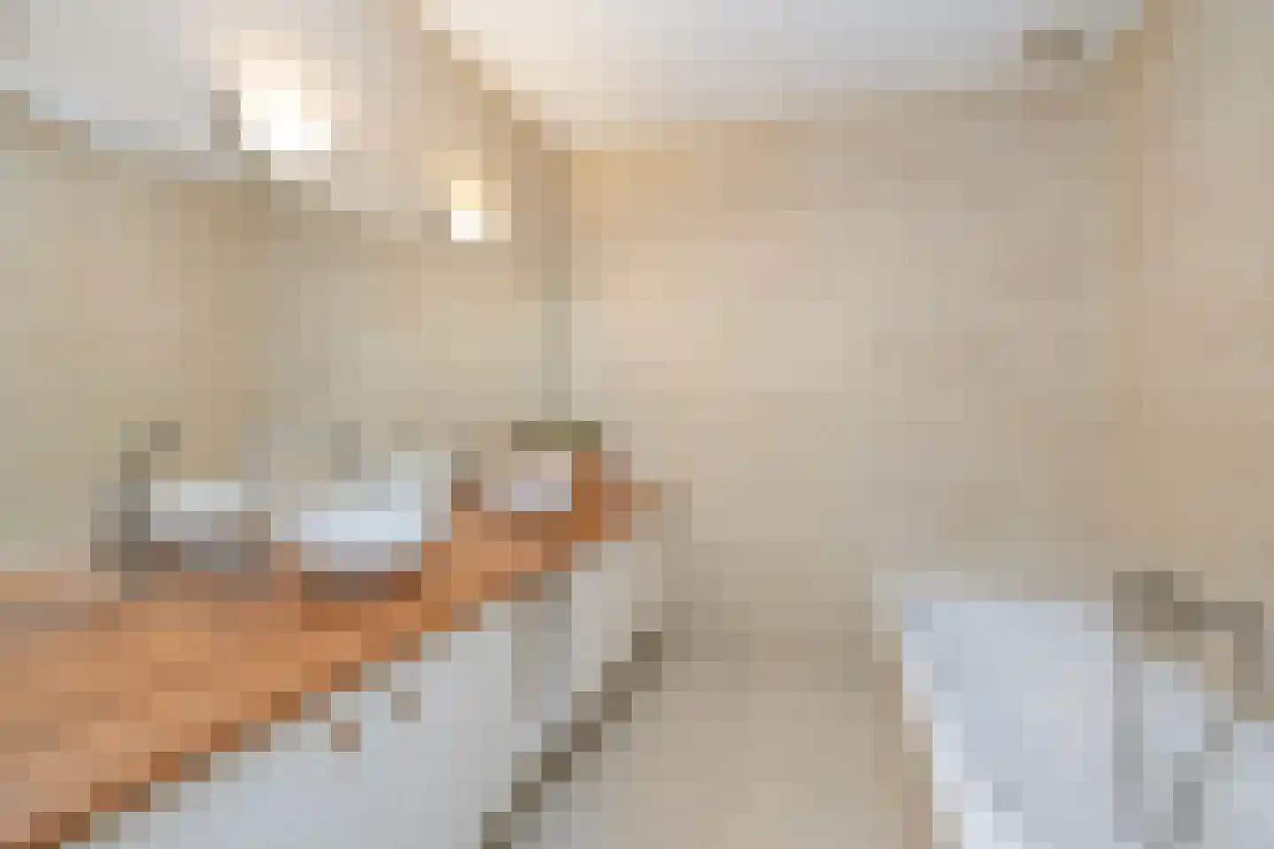 Lithergraaf 8 Lith thumbnail 29