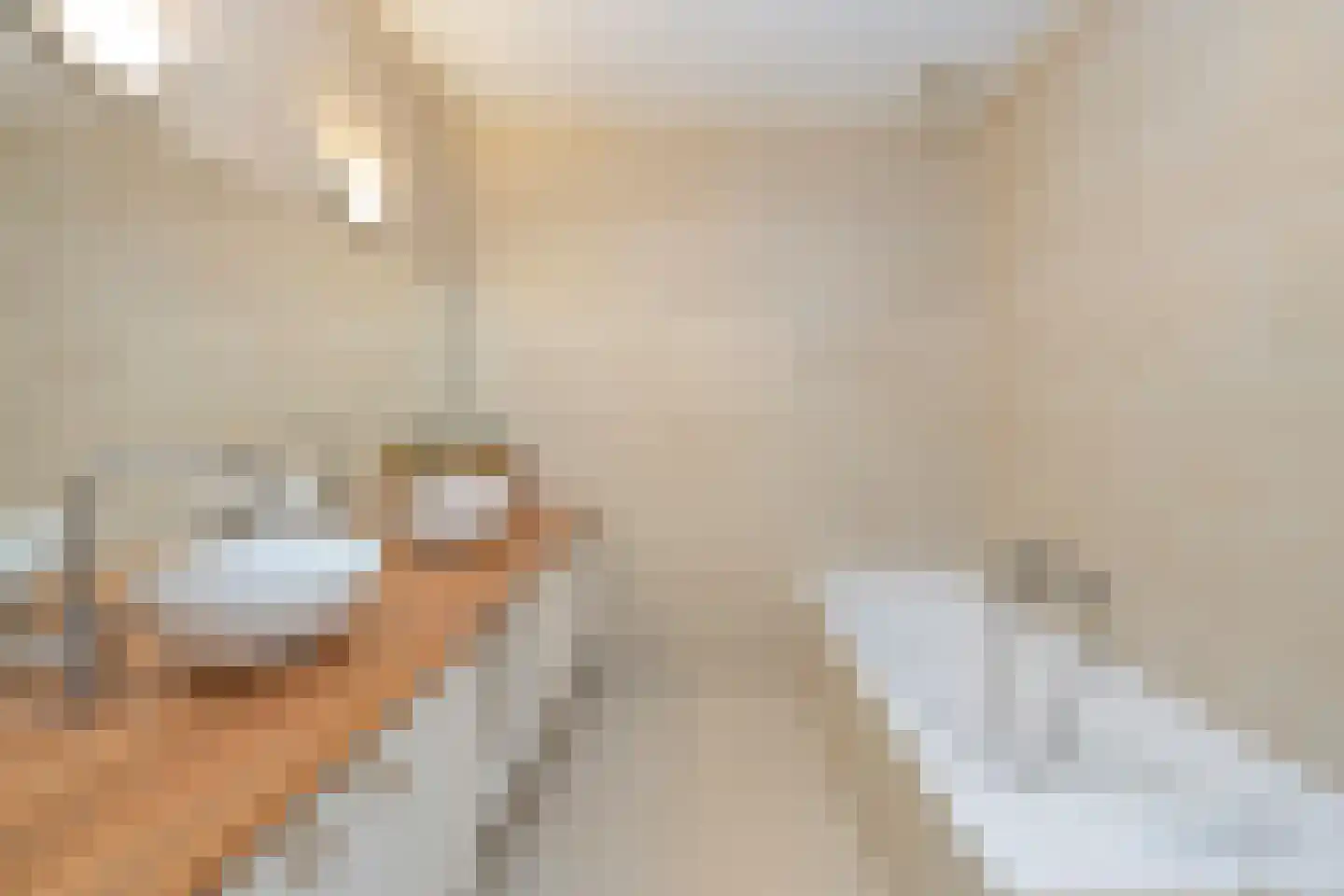 Lithergraaf 8 Lith thumbnail 30