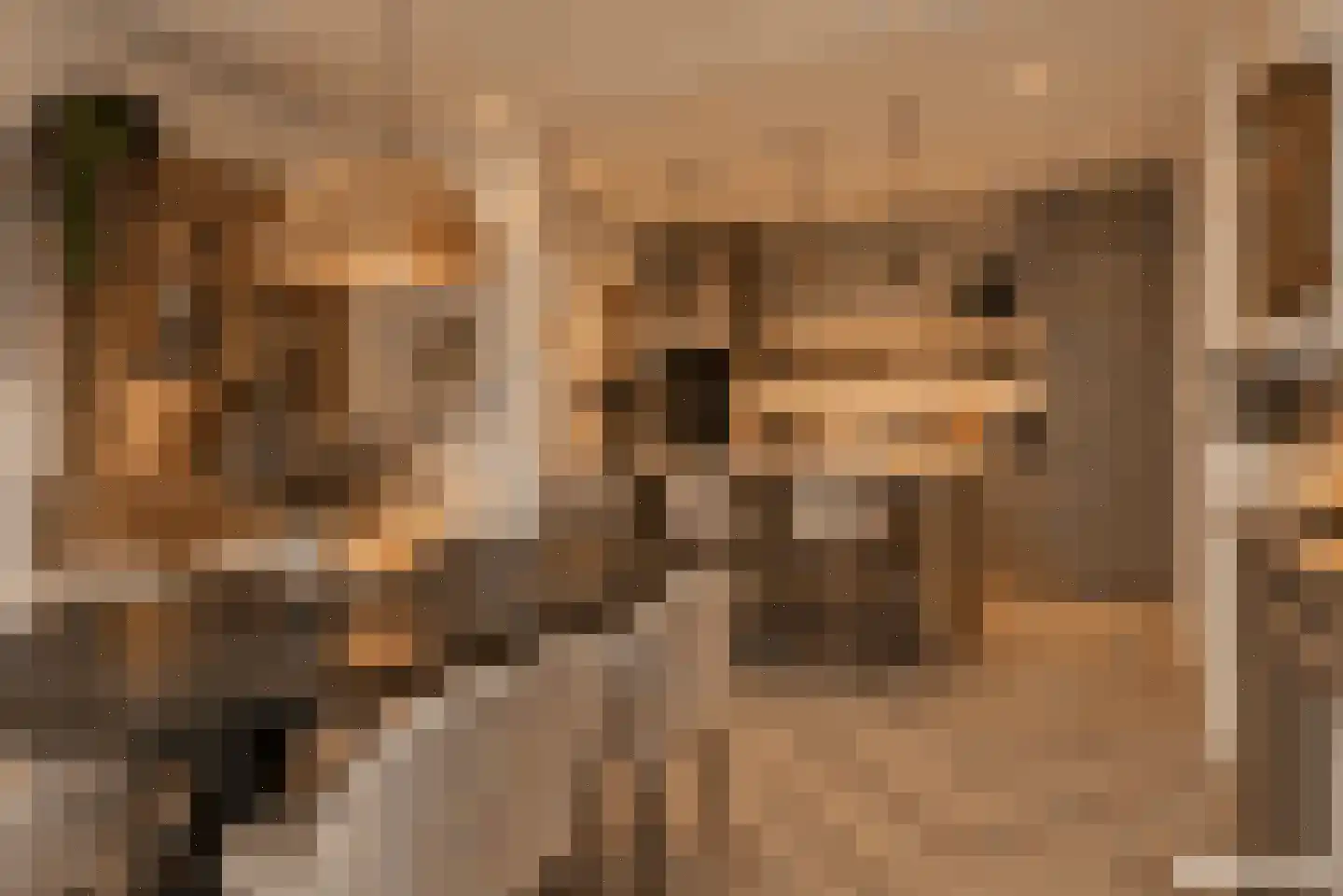 Lithergraaf 8 Lith thumbnail 30