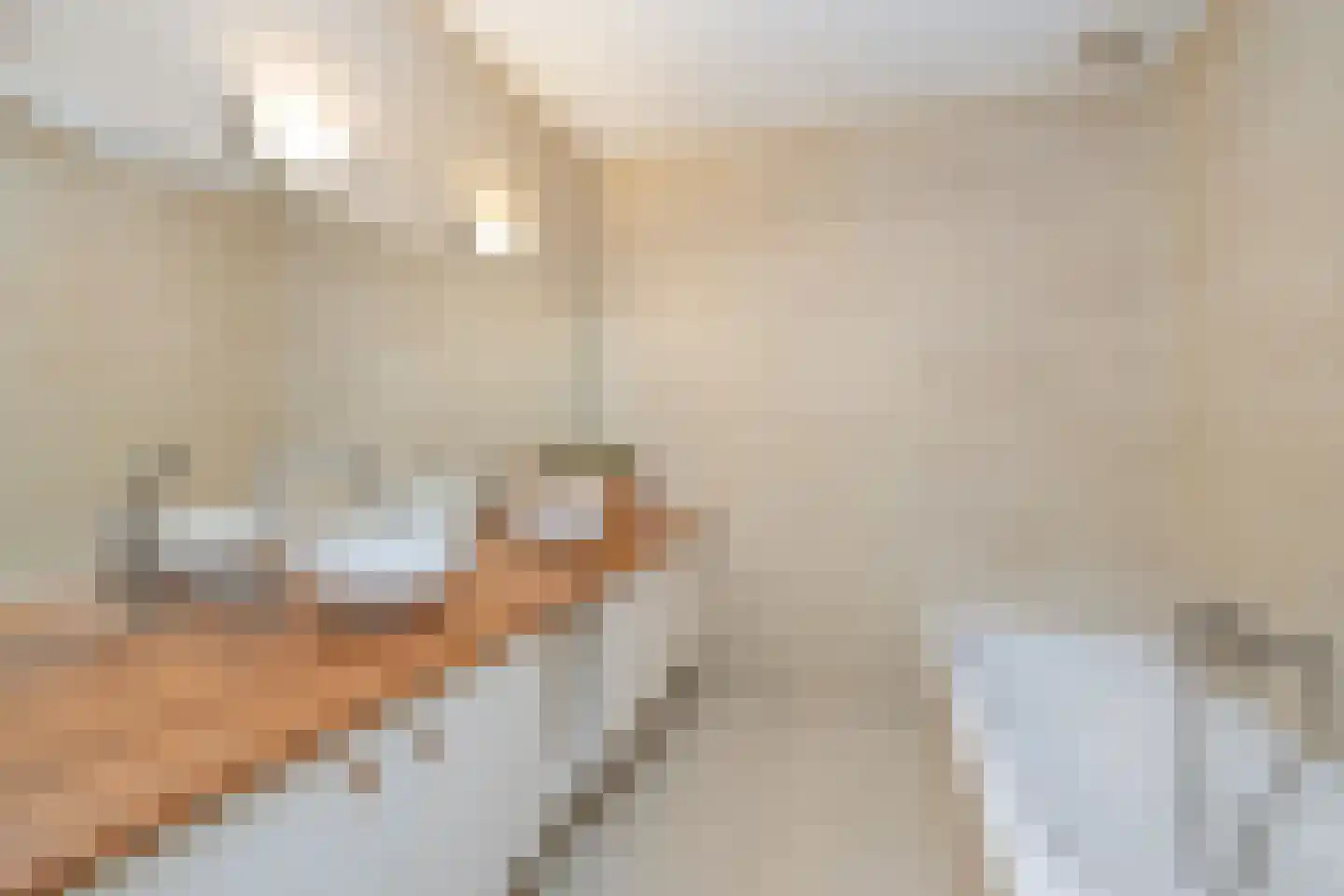 Lithergraaf 8 Lith thumbnail 32