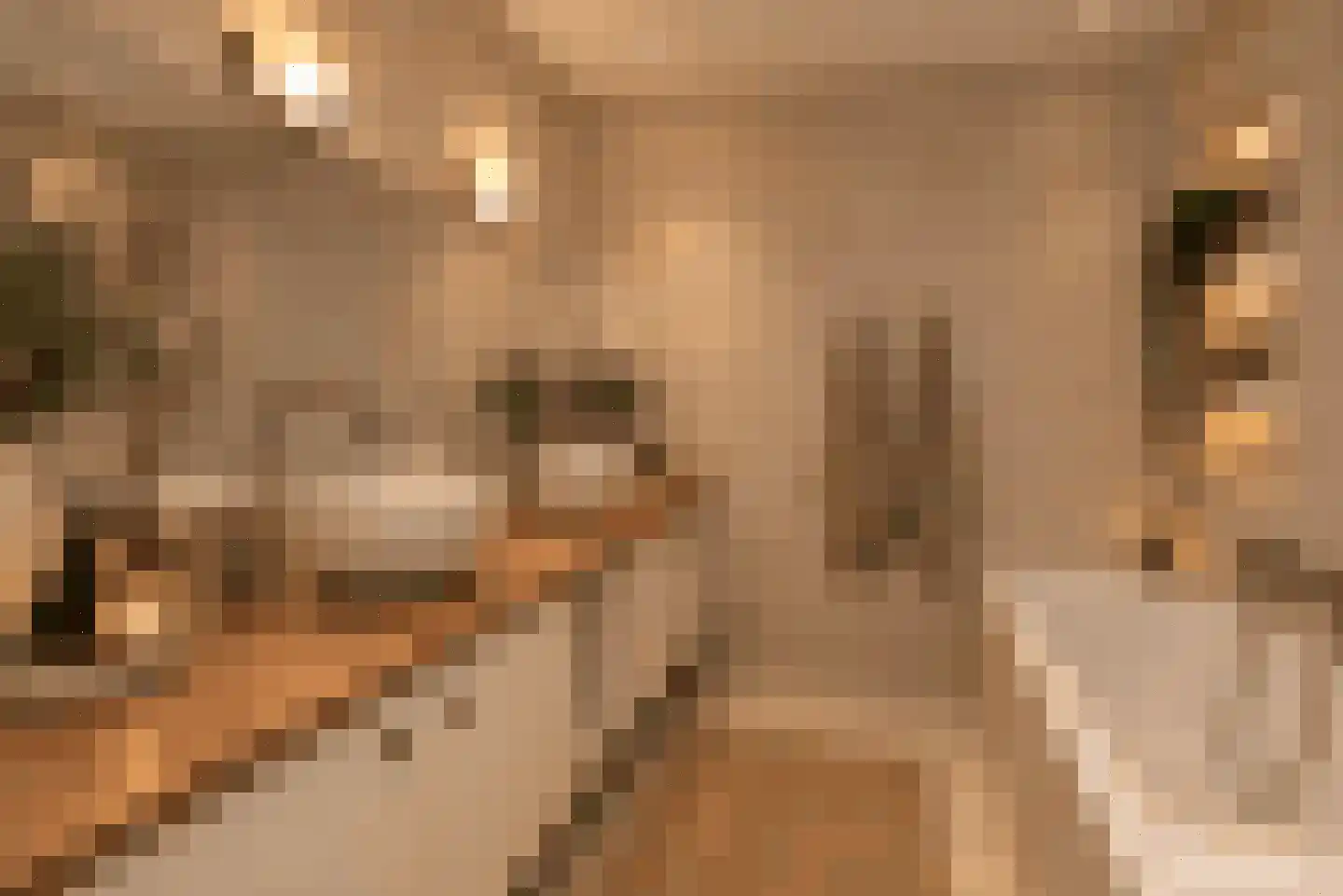Lithergraaf 8 Lith thumbnail 33