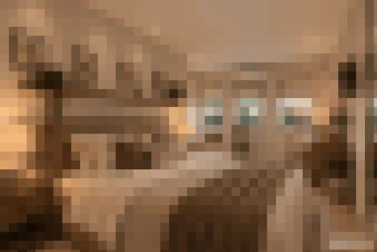 Lithergraaf 8 Lith thumbnail 40