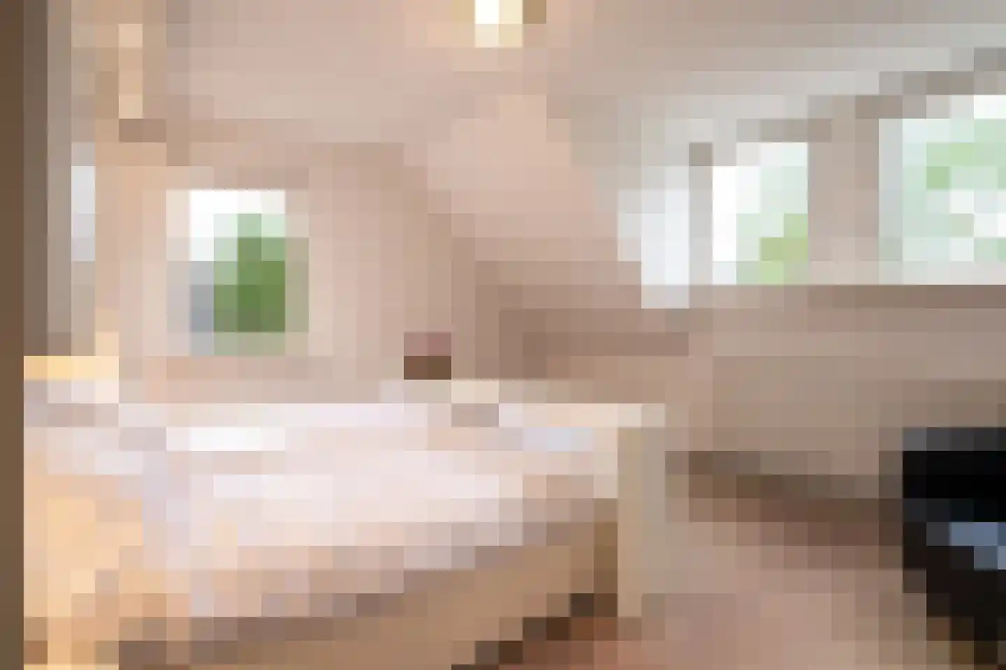 Litherweg 65 Oss thumbnail 17