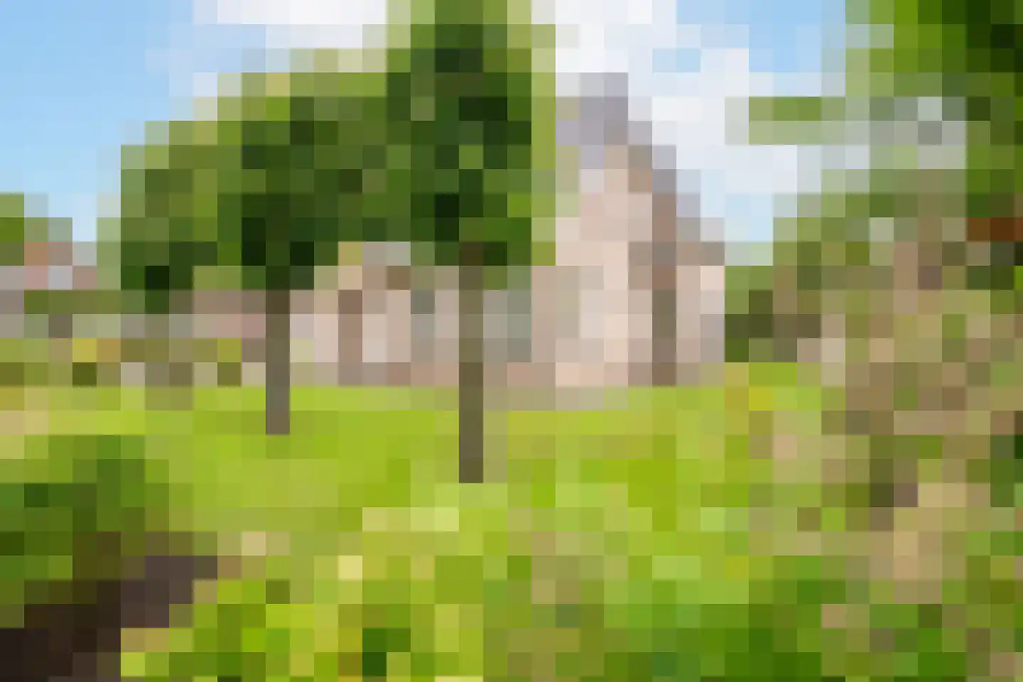 Litherweg 65 Oss thumbnail 30