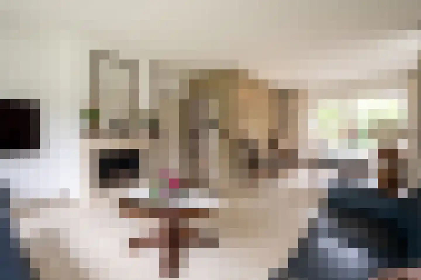 Litherweg 65 Oss thumbnail 9