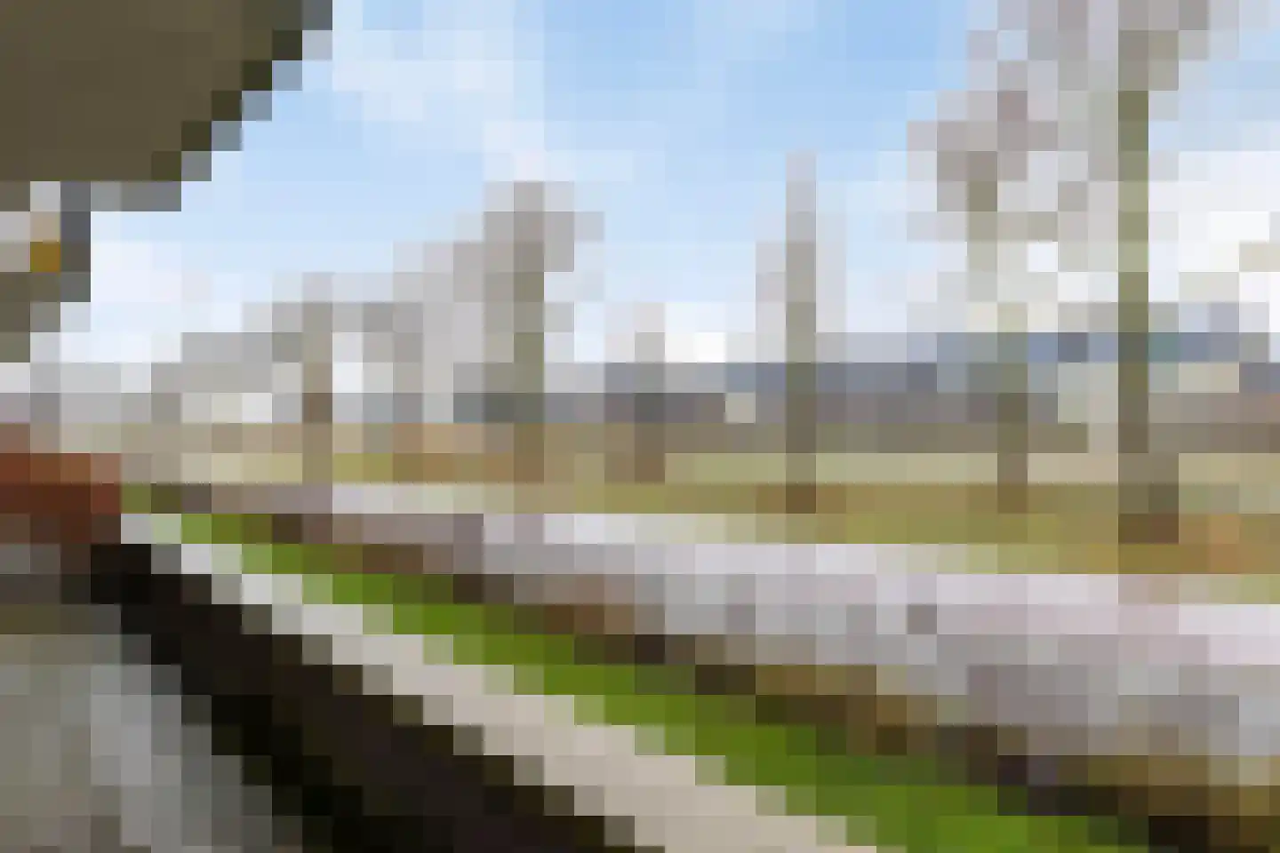 Litho 25 Meppel thumbnail 25