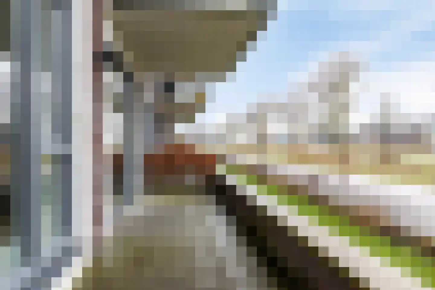 Litho 25 Meppel thumbnail 5