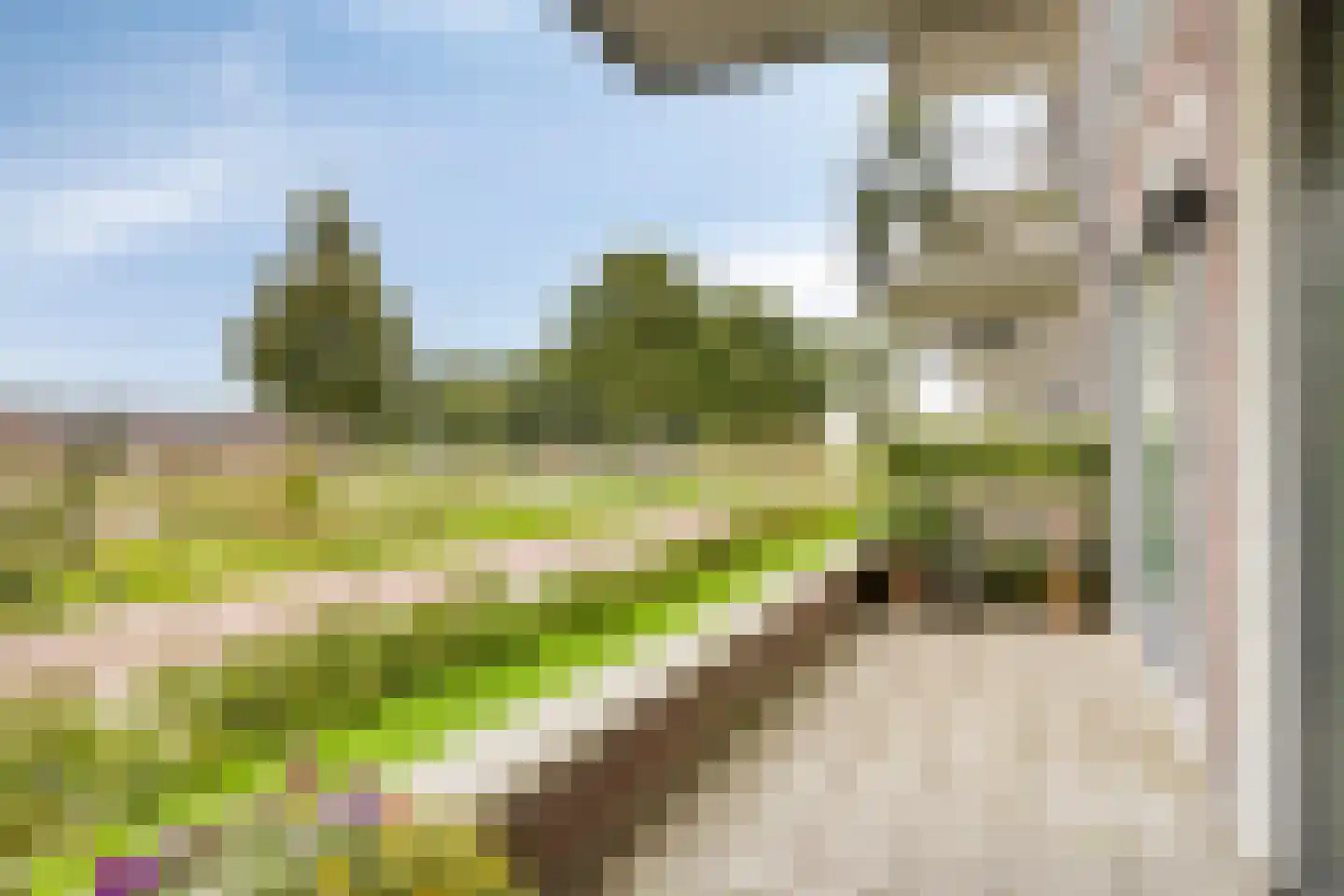Litho 27 Meppel thumbnail 23