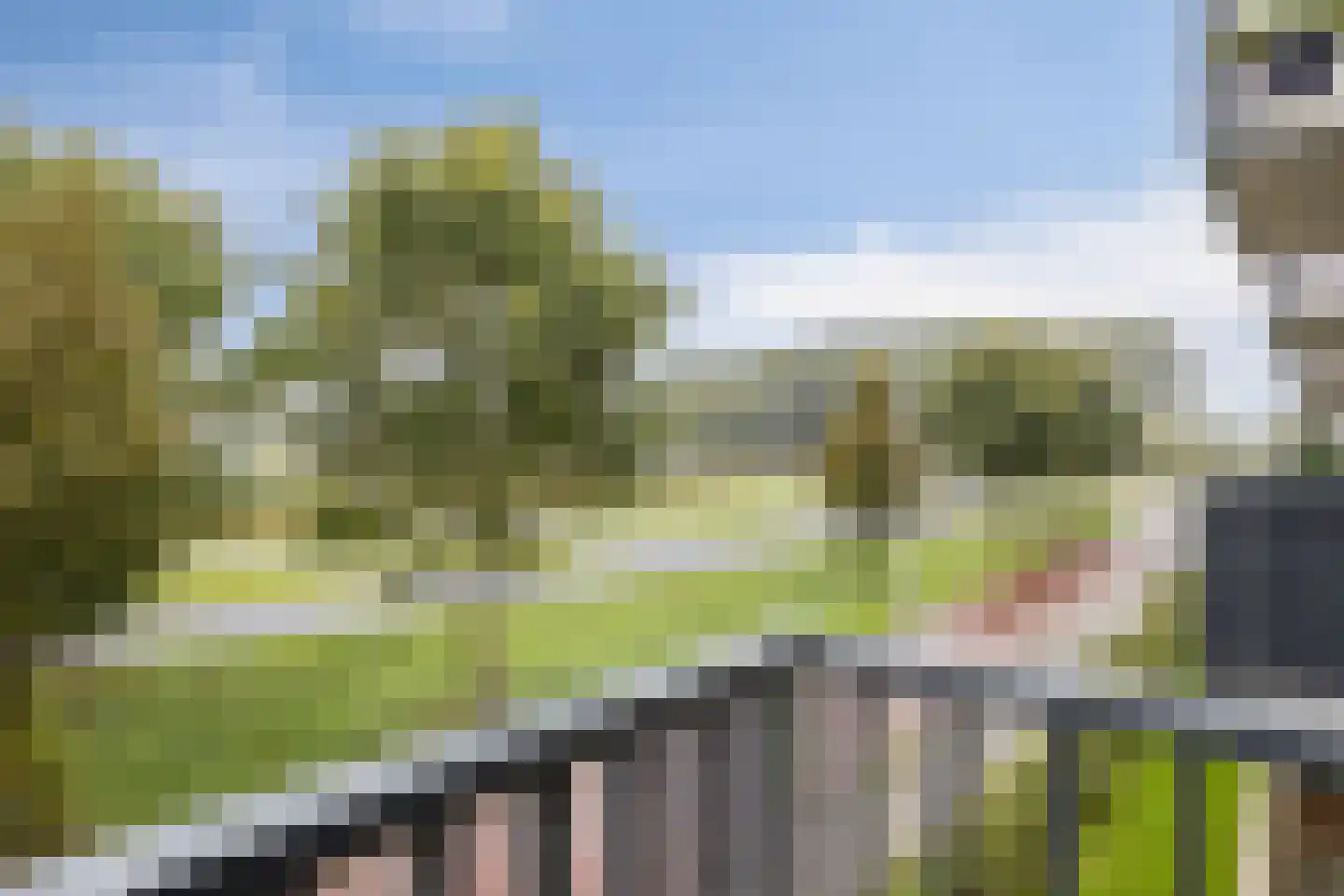 Litho 43 Meppel thumbnail 25