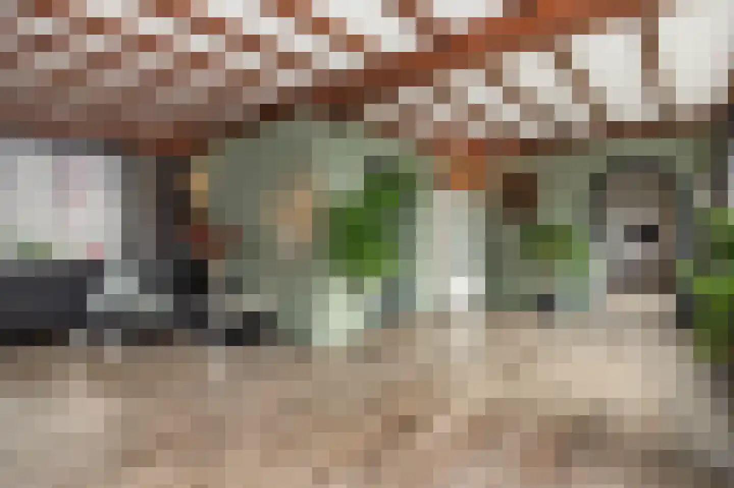 Lithse Dijk 34 Lith thumbnail 14