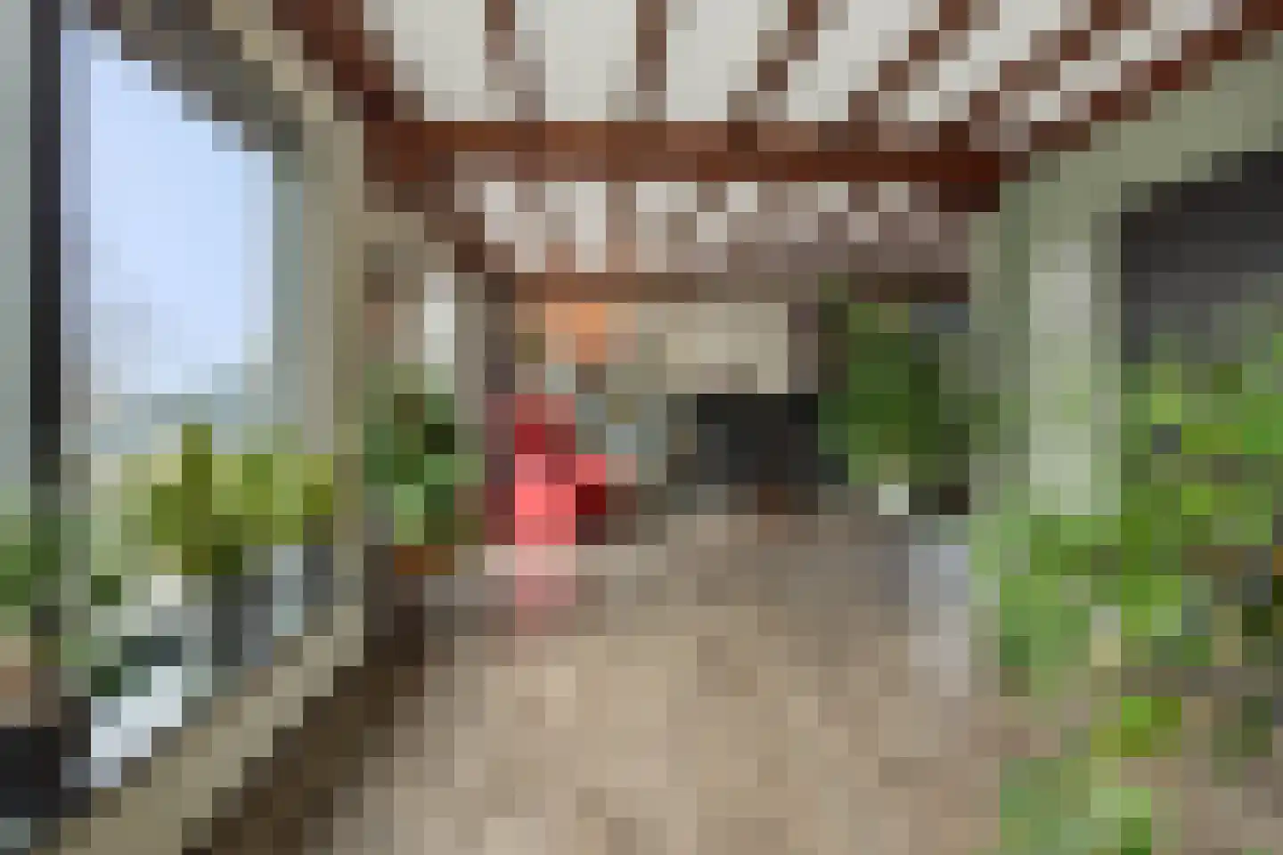 Lithse Dijk 34 Lith thumbnail 15