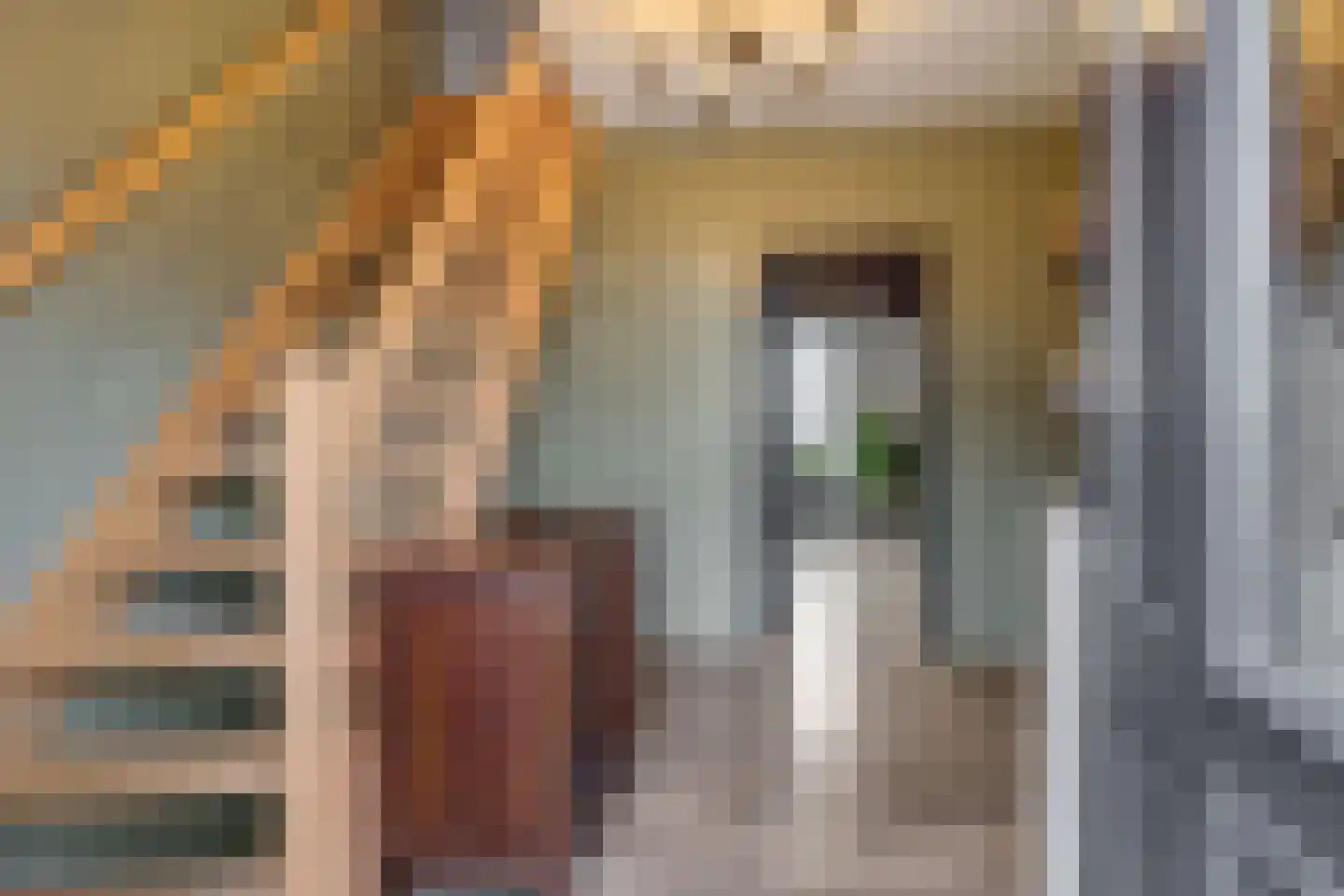Lithse Dijk 34 Lith thumbnail 22