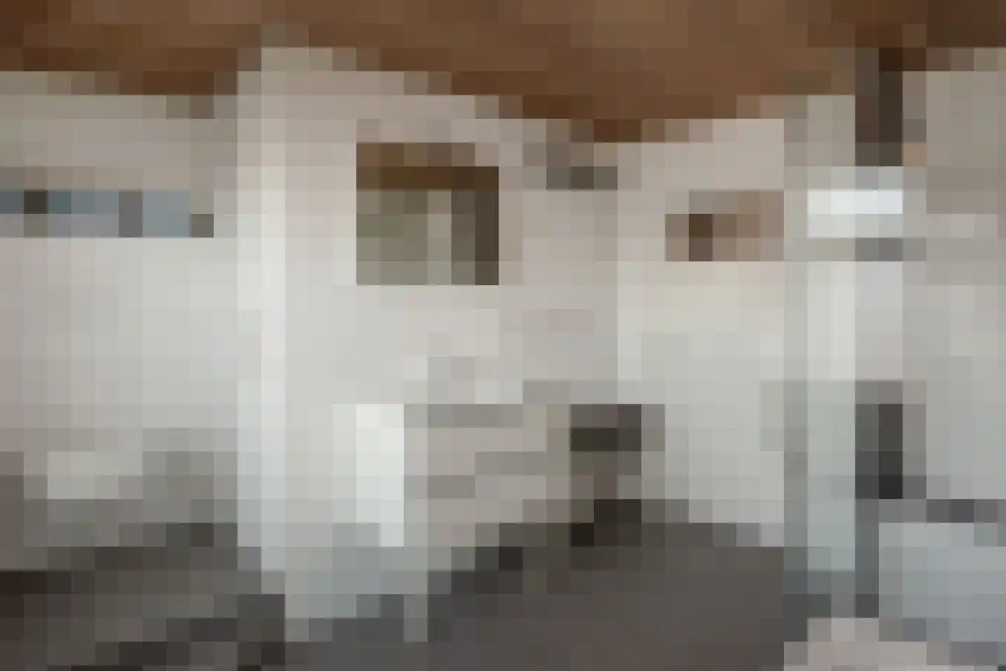 Lithse Dijk 34 Lith thumbnail 31