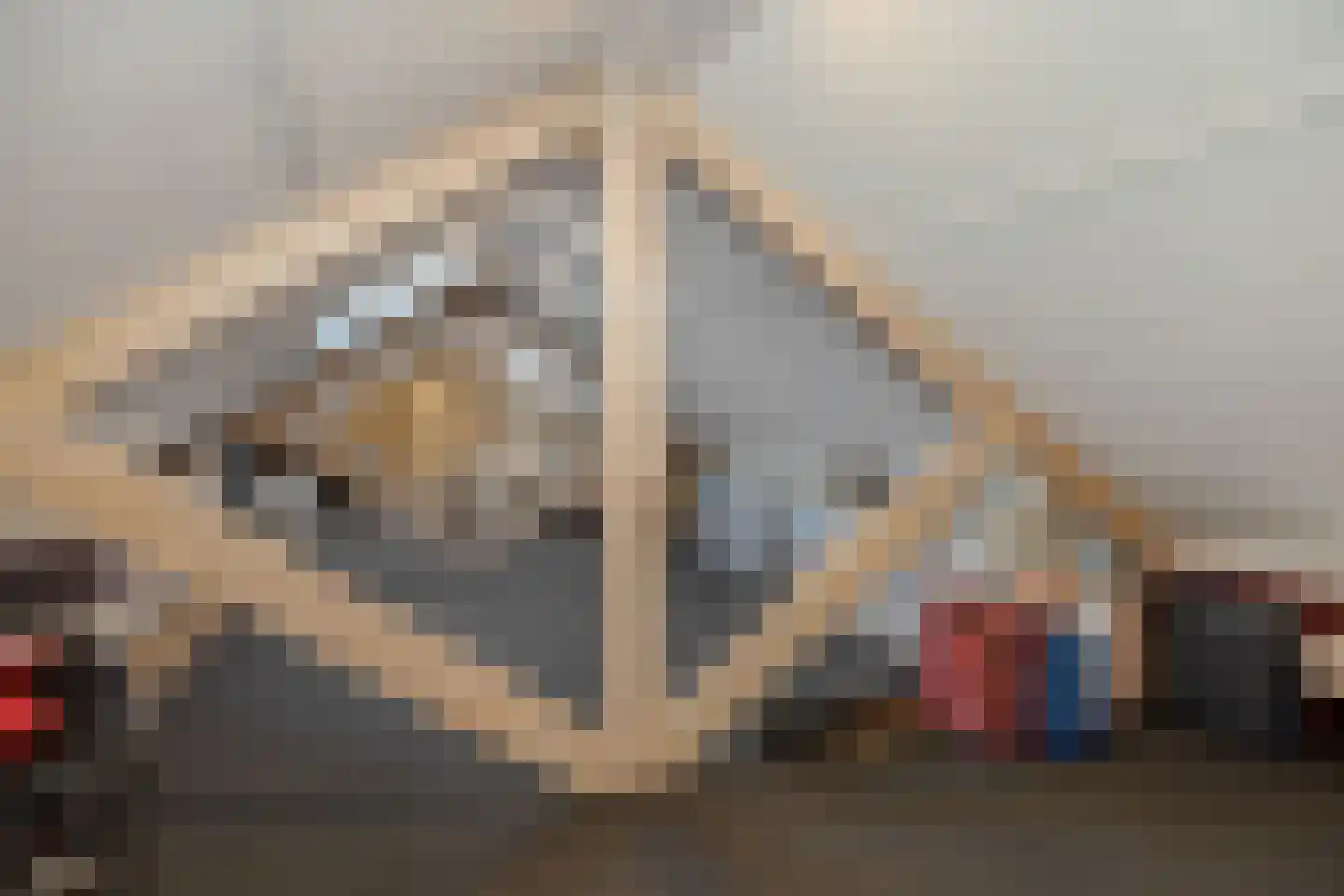 Lithse Dijk 34 Lith thumbnail 36