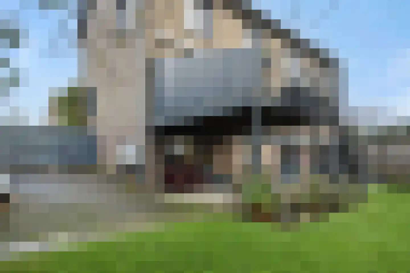 Lithse Dijk 34 Lith thumbnail 44