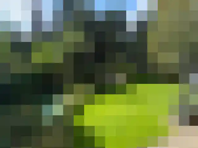 Lithse Dijk 34 Lith thumbnail 46
